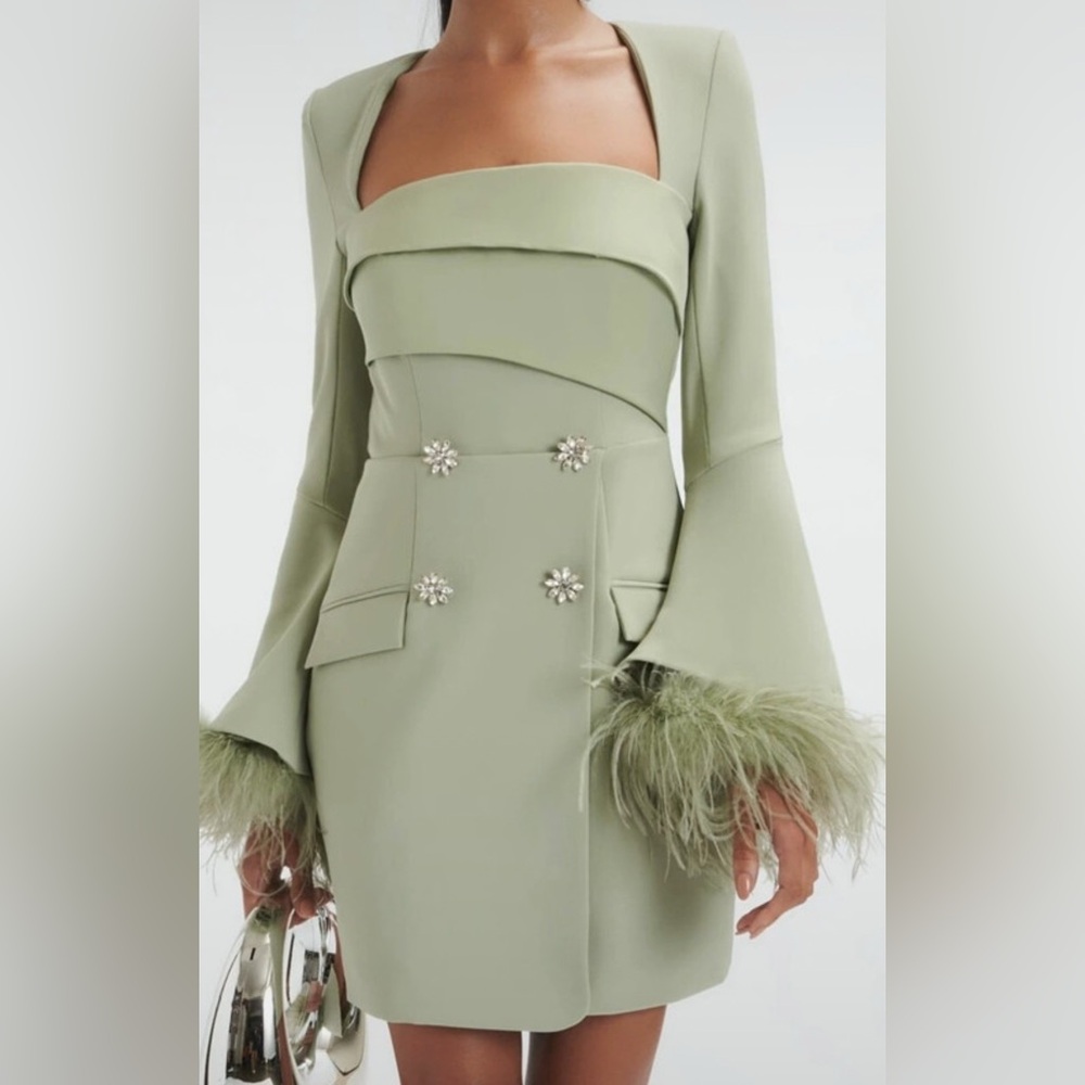 Lavish Alice Iona Feather Sleeve Dress